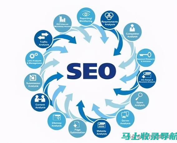 SEO策略在网店推广中的实战应用：成功案例分析与启示